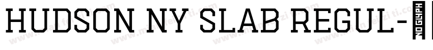Hudson NY Slab Regul字体转换